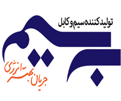 behsim logo